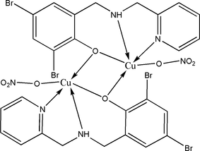 [Contents scheme]
