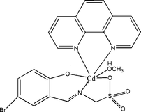 [Contents scheme]