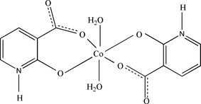 [Contents scheme]