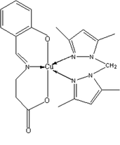 [Contents scheme]