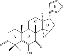 wn2196 scheme