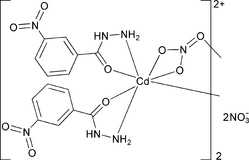 [Contents scheme]