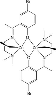 [Contents scheme]