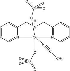 [Contents scheme]