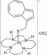 [Contents scheme]