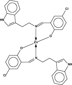 [Contents scheme]