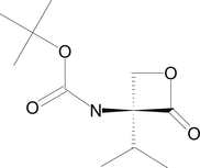 [Contents scheme]