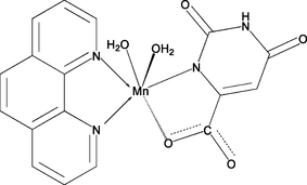 [Contents scheme]