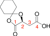 [Contents scheme]