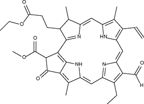 [Contents scheme]