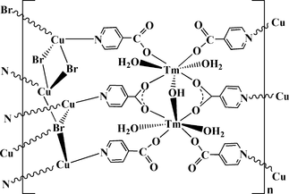 [Contents scheme]