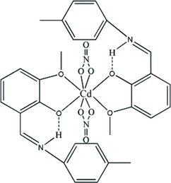 [Contents scheme]