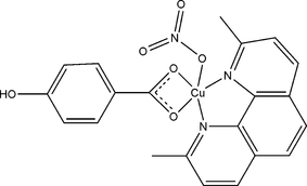 [Contents scheme]