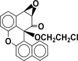 [Contents scheme]