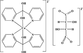 [Contents scheme]