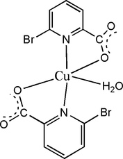 [Contents scheme]