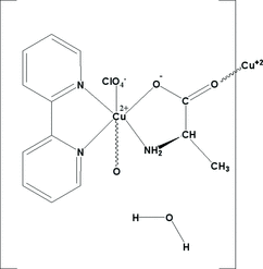 [Contents scheme]
