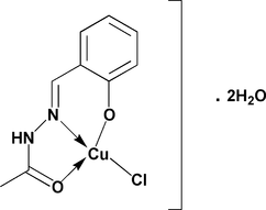 [Contents scheme]