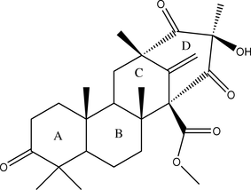 [Contents scheme]