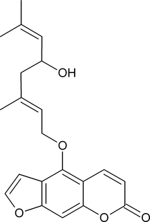 [Contents scheme]
