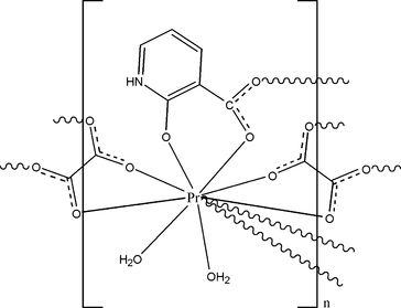 [Contents scheme]