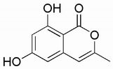 [Contents scheme]