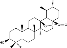 [Contents scheme]