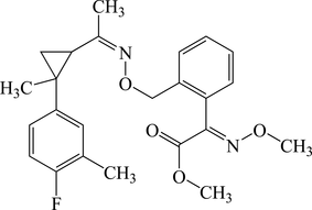 [Scheme 1]