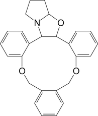 [Contents scheme]