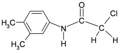 [Contents scheme]