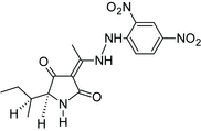 [Contents scheme]