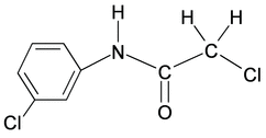 [Contents scheme]