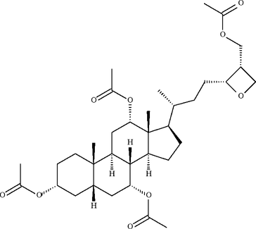 [Contents scheme]