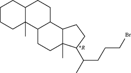 [Contents scheme]