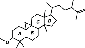 [Contents scheme]