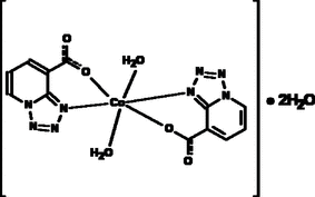 ng2582 scheme
