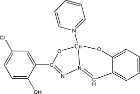 [Contents scheme]