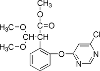 [Contents scheme]