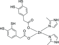 [Contents scheme]