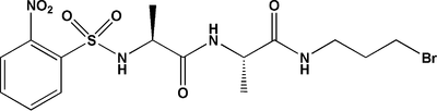[Contents scheme]