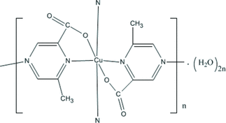 [Contents scheme]