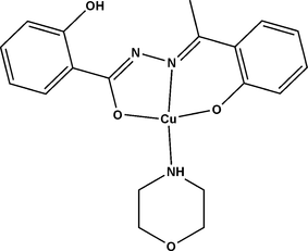 [Contents scheme]