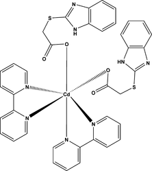 [Contents scheme]