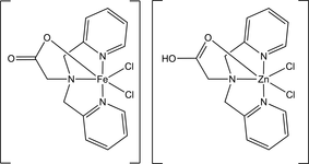 [Contents scheme]
