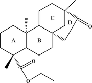 [Contents scheme]
