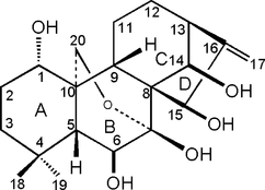 [Contents scheme]