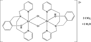 [Contents scheme]