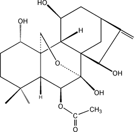 [Contents scheme]