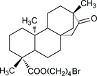 [Contents scheme]