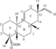 [Contents scheme]